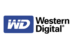 اس اس دی وسترن دیجیتال 500 گیگابایت Western Digital Blue